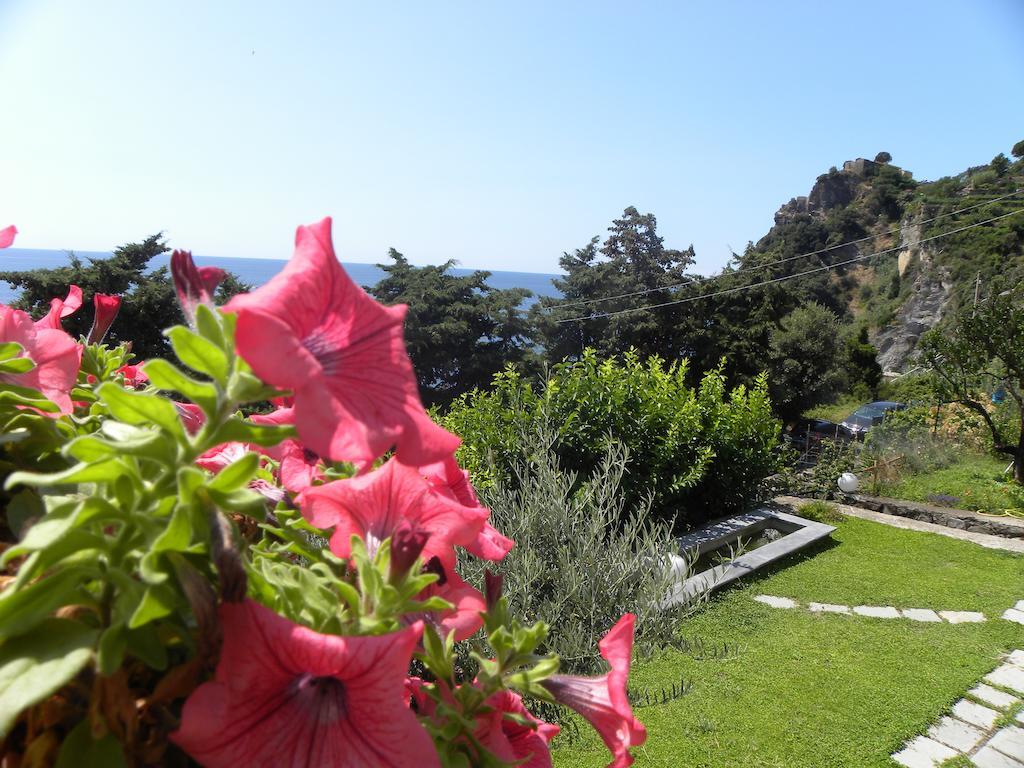 Bed & Breakfast Corte Del Gallo Corniglia