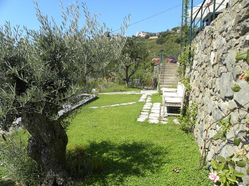 Bed & Breakfast Corte Del Gallo