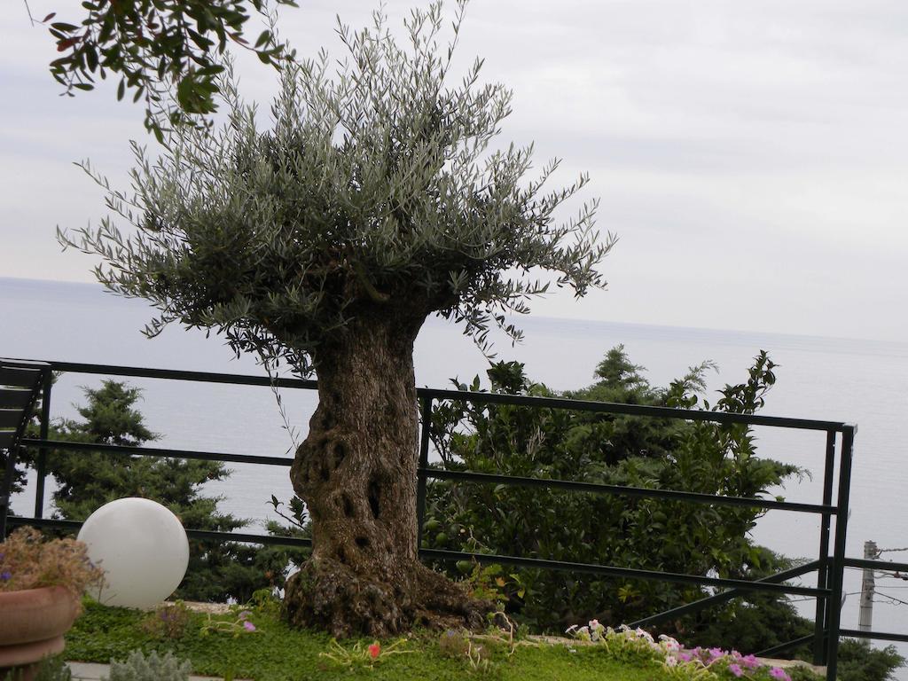 Bed and breakfast Corte Del Gallo